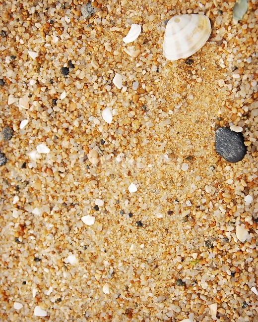 자갈,흙길,nature,자연,outdoors,sand,모래,바닥