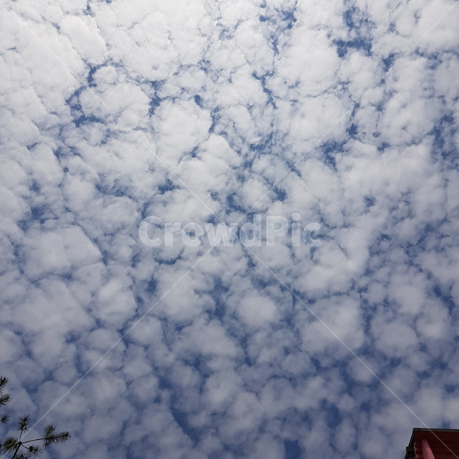 구름,하늘,풍경,배경,cloud
