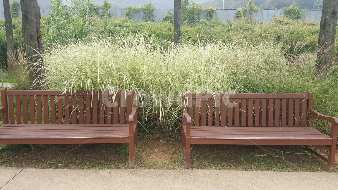 벤치의자,공원의자,나무의자,의자,벤치