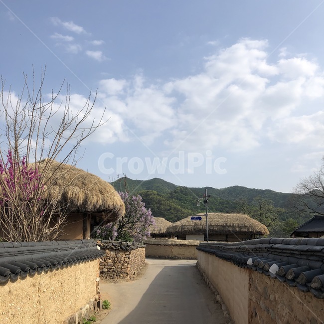 전통가옥,초가집,한옥,한옥마을,마을,전통주택,민속촌,초가집마을,산동네,배산임수,담장,한국스타일,한국마을,koreanvillage,koreantown,koreanhouse,grasshouse,민가,전통마을,traditionalhouses,traditionalhouse,시골,마을,풍경,landscape,country,rural,town,한국전통,한국문화,korean traditional,korean culture