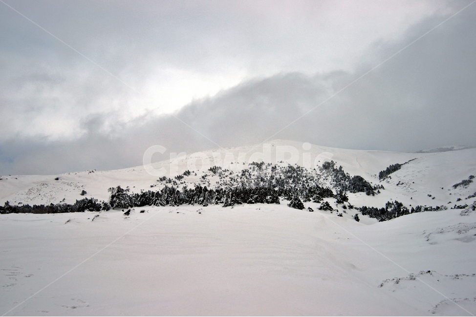 겨울산,한라산,제주도,설경,어리목코스,설산,한라산설경,겨울,겨울,계절,winter,season,자연,풍경,nature,landscape,한국자연풍경,한국자연경관,korea nature landscape