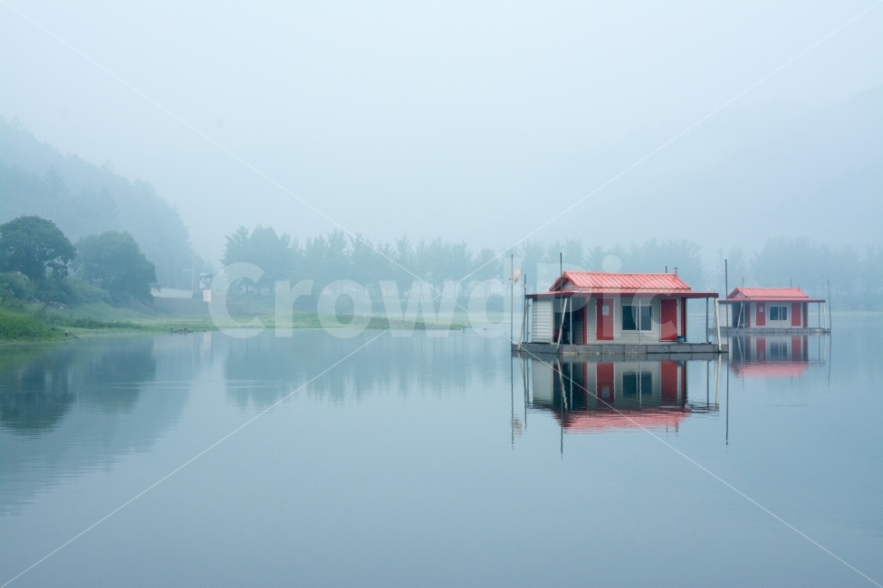 문광저수지,저수지,아침,은행나무길,낚시터,고요,안개,자연,풍경,nature,landscape,한국자연풍경,한국자연경관,korea nature landscape,outdoors,옥외,building,건물