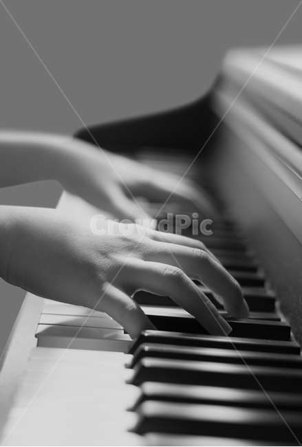 musicalinstrument,악기,piano,레저활동,leisureactivities,피아노,뮤직,hand,피아니스트,음악가,열쇠,손가락,사운드,뮤지컬,손,재즈,화음,여자,연주회,공연,흑백,연주,흑백,모노톤,monochrome,black and white,악기,음향기기,musical instrument,musical equipment