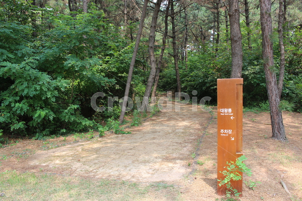 산길,익산,익산쌍릉,숲길,경치,관광,자연,풍경,nature,landscape,ground,바닥