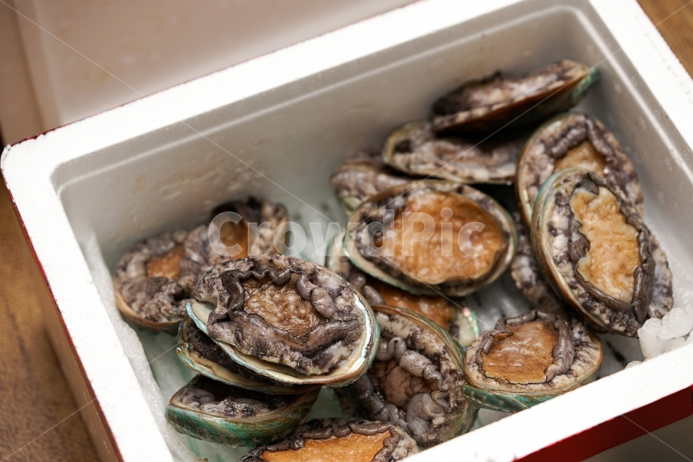 	전복,해산물,먹거리,안주,술안주,생물,먹방,해물,씨푸드,바다,음식,seafood,푸드,안주거리,회,전복회,안주꺼리,소주안주,음식,식재료,요리,food,cook,meal,dishes,food reserves,수산물,해산물,fishery products,seafood