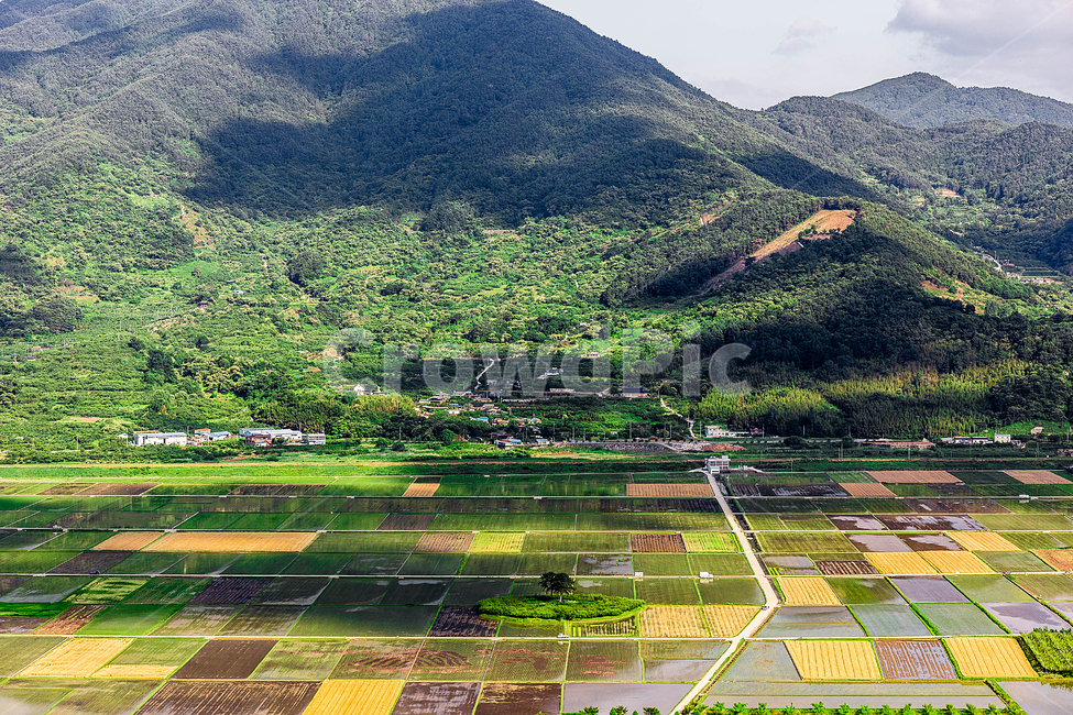 논,밭,부부송,시골,하동,자연,풍경,nature,landscape,한국자연풍경,한국자연경관,korea nature landscape,산업,industry,industrial,농업,농사,agriculture,farming,farming industry,scenery,outdoors,옥외,경치