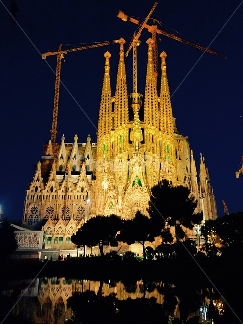 steeple,뾰족한탑,spire,첨탑,architecture,building,metropolis,사그라다파밀리아,sagradafamilia,야경,스페인,관광지