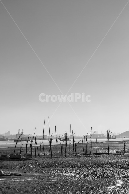 어구,갯벌,바닷가,영종도,풍경,환경,자연,풍경,nature,landscape,해변,바다,beach,sea,흑백,모노톤,monochrome,black and white,outdoors,옥외