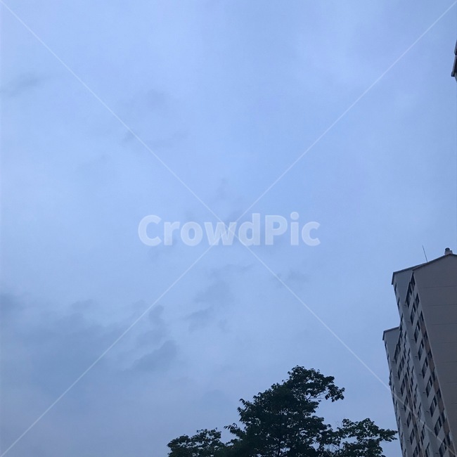 구름,하늘,sky,cloud,자연,nature,옥외,outdoors,건축물,architecture,tower,탑,building,건물,나무,tree