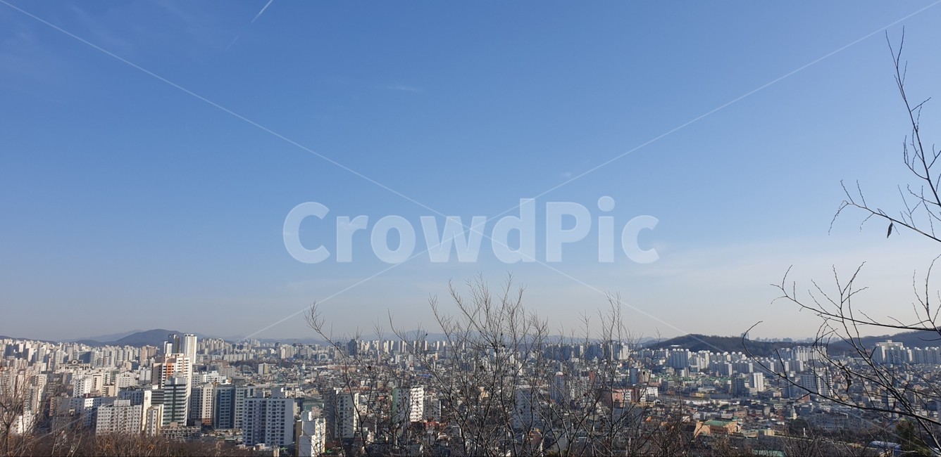 겨울하늘,도시,하늘,맑은하늘,풍경,자연,나무