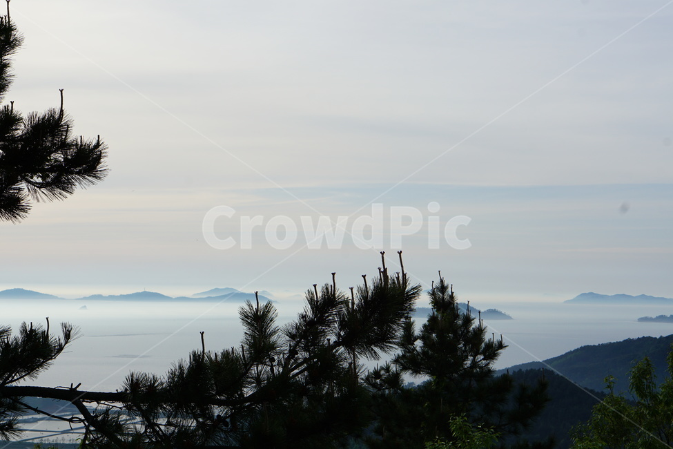 산,마을,풍경,나무,하늘,자연,자연,풍경,nature,landscape,tree,plant,식물,fir,전나무