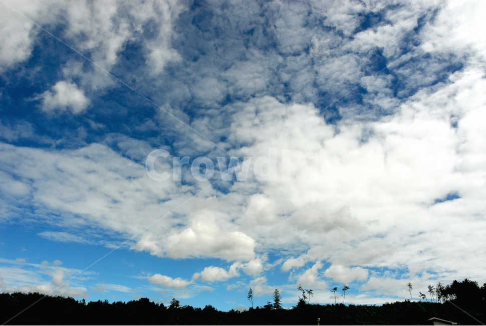 하늘,가을하늘,푸른하늘,흰구름,날씨,cloud,구름,sky,nature,자연,풍경,nature,landscape