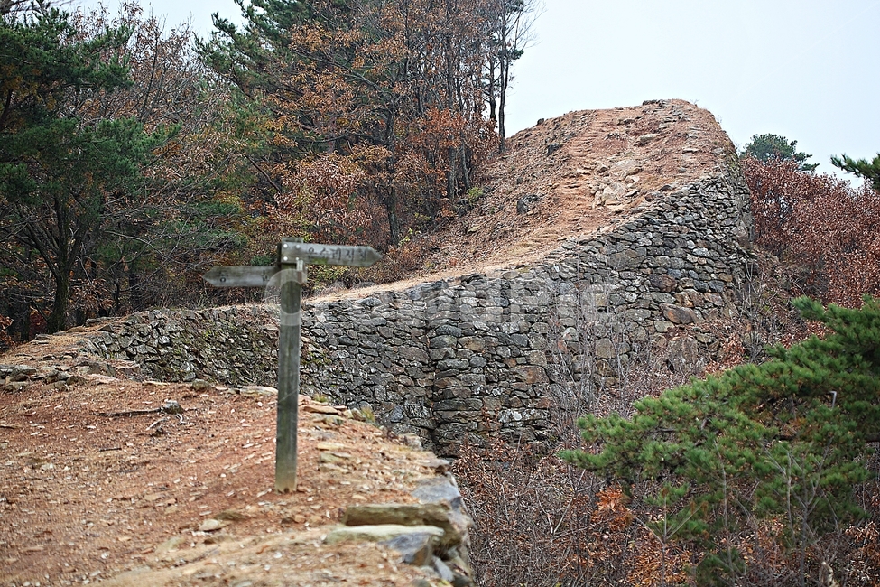 전등사,성,성곽,산성,둘레길,길,숲,숲길,담,돌담,가을,자연,풍경,벽,방어벽,낙엽,단풍,가을,계절,fall,autumn,season,식물,자연,plants,nature,나무,trees,wood