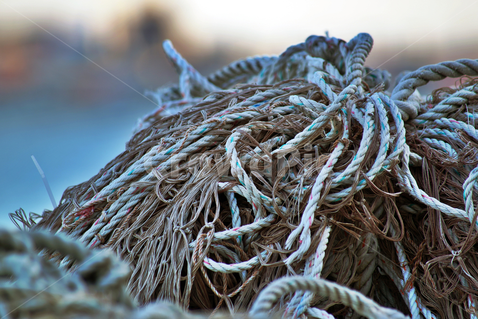 그물,밧줄,고기잡이,바다,어선,도구,어망,그물망,물고기,어업,어업,fishery,fishing industry