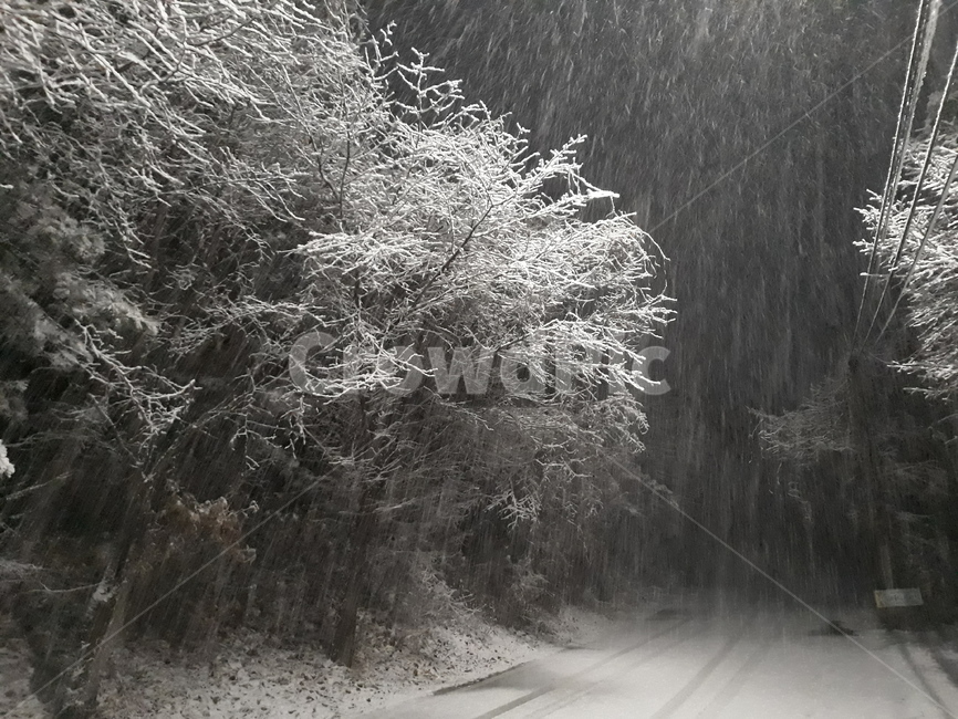 눈길,흰눈,가로등,눈,snow,설경
