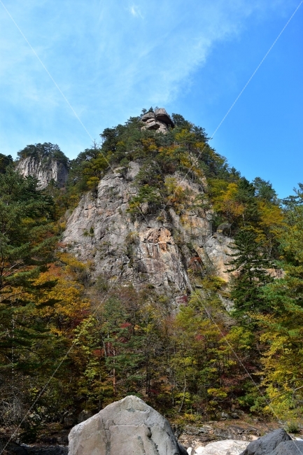 설악산,가을,단풍,풍경,백담사,구곡담계곡,수렴동계곡,계곡풍경,오색단풍,자연,스포츠,등산,산행,nature,느낌,아름다운,다큐,필,계절,디자인,힐링,명산,국립공원,순백,트레킹,단풍잎,오색,칼라풀,뷰티플,단풍터널,단풍숲,산객,등산객,그림같은,감성,절경,가을색,자연,풍경,nature,landscape,가을,계절,fall,autumn,season,tree,나무,plant,식물,fir,전나무,outdoors,옥외,cliff,낭떠러지