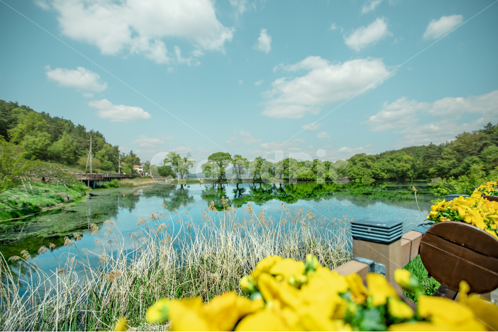 반영,풍경,자연,배경,나무,하늘,호수,구름,nature,water,outdoors,자연,풍경,nature,landscape