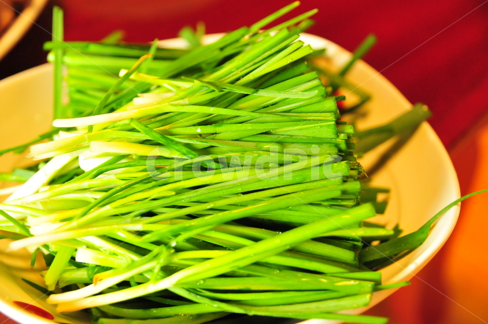 부추,솔,정구지,한식재료,음식재료,채소,녹색채소,음식,식재료,요리,food,cook,meal,dishes,food reserves,채소,야채,vegetables
