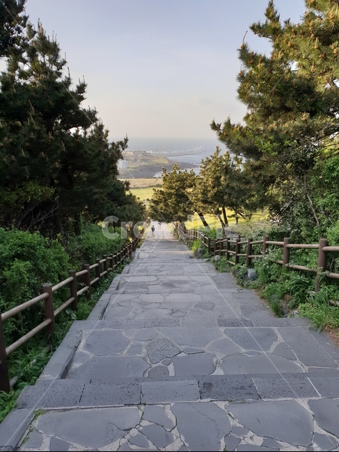 계단,가로수,하늘,바다,건너다