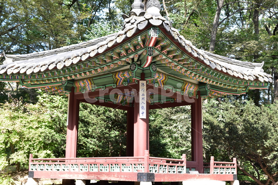 궁궐,비원,창덕궁비원,전통건물,세계문화유산,기와,전통,역사,한옥,한국전통,한국문화,korean traditional,korean culture