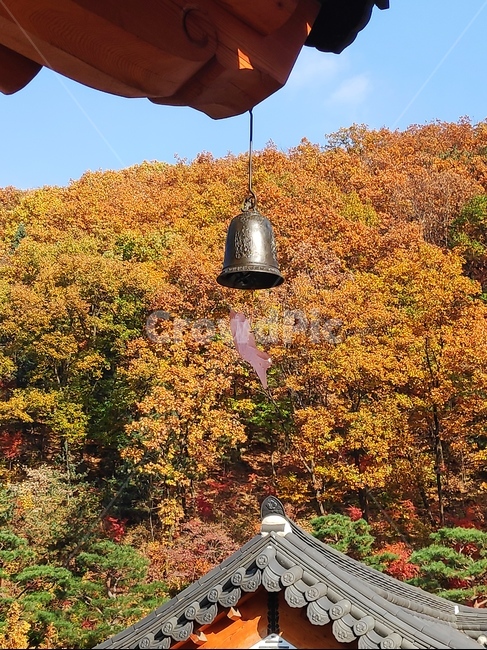 종,산,절,풍경,산책,가을,계절,fall,autumn,season