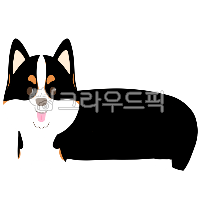 강아지,dog,반려견,애완동물,귀여운,개릭터,pet,cute,character,코기,웰시코기,welshcorgi,brown,white,갈색,중형견,블랙,검정색,black,흰색