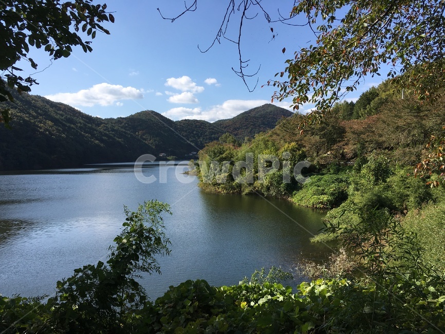 주암호,호수,가을,낙엽,벚꽃나무,벚꽃,나무,풍경,보성군,산,자연,풍경,nature,landscape,한국자연풍경,한국자연경관,korea nature landscape,water,물,outdoors,옥외