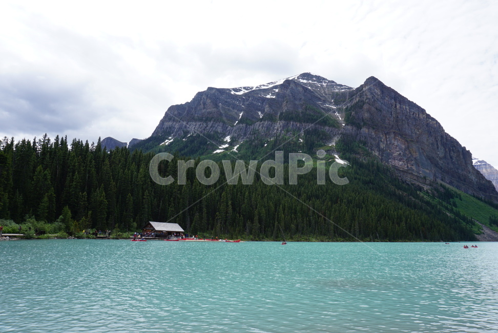 plant,식물,tree,나무,outdoors,옥외,nature,abies,자연,아비,fir,전나무,water,물,호수,lake,해외,밴프,캐나다,banff,canada,자연,풍경,nature,landscape