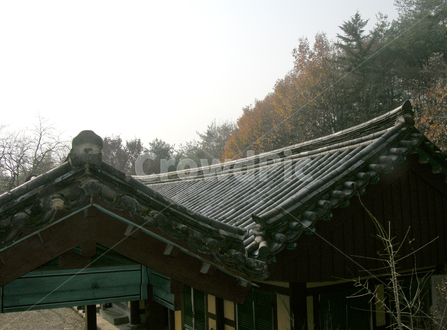 지리산,종교,불교,절,기와,기와지붕,건축,건설,전통,한국,대한민국,숲,나무,낮,건물,풍경,자연,한국전통,한국문화,korean traditional,korean culture,건축물,건물외관,exterior,building,structure,architecture,construction