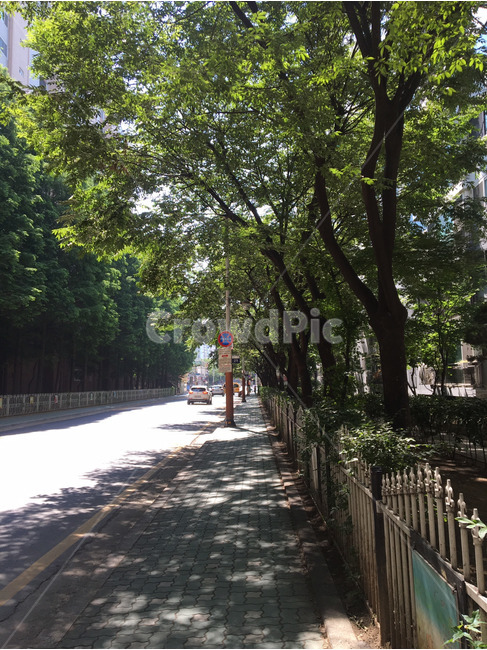 길거리,여름,청량함,street,coolfeeling,summer,자연,풍경,nature,landscape,garden,정원,outdoors,옥외,arbour,정자