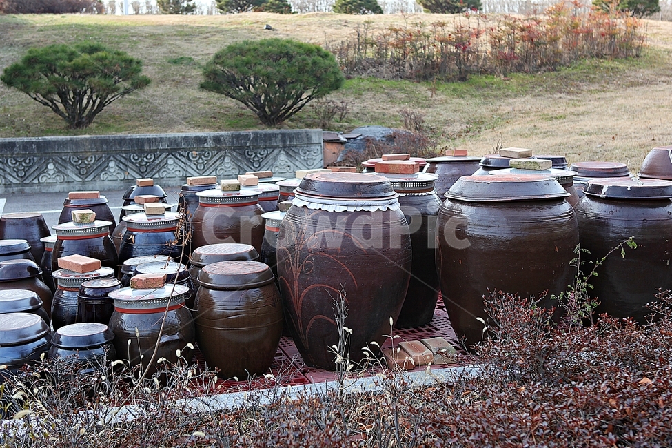 항아리,단지,옹기,양념,식재료,토기,자연,풍경