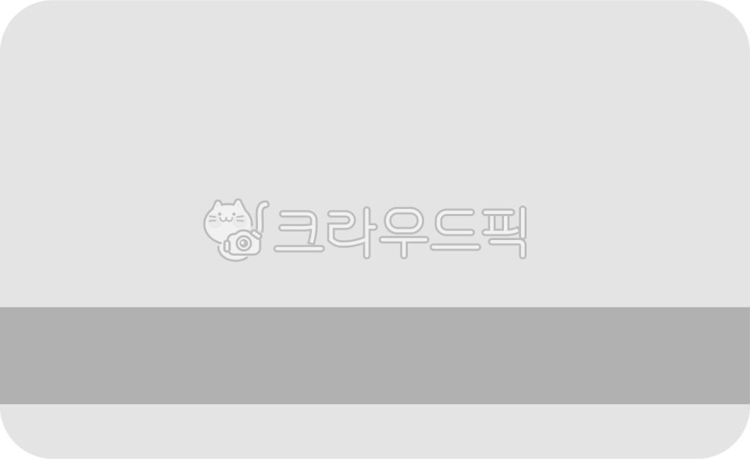 카드,신용카드,결재,금융,목업,card