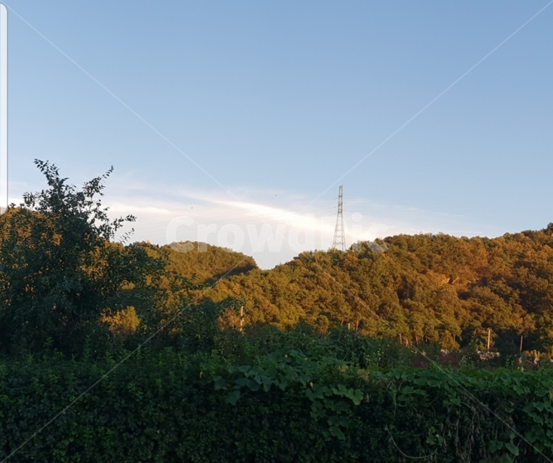 자연,시골,하늘,맑음,산,자연,풍경,nature,landscape,outdoors,옥외,field,들,grassland,목초지