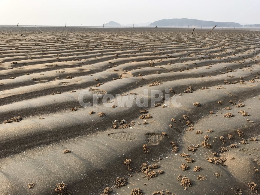 바다,갯벌,흙,nature,자연,sand,모래,바닥,soil,ground,풍경