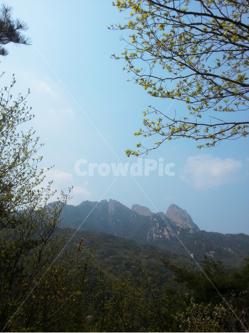 산,하늘,구름,등산,나무,상쾌,맑은,봄,자연,풍경,nature,landscape,mountain range,산맥,outdoors,옥외,mountain