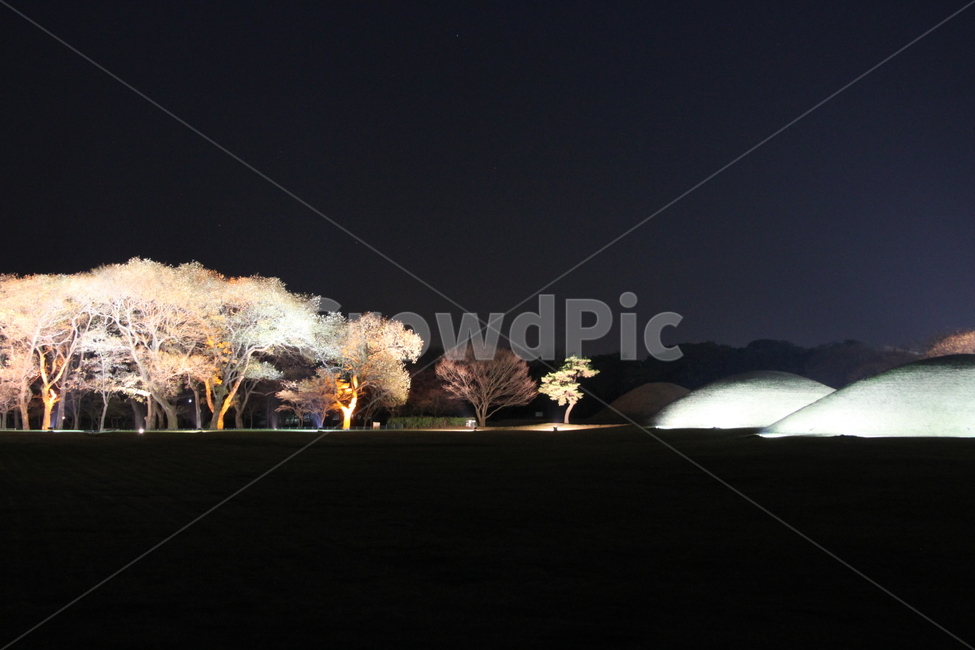 고분,나무,tree,저녁,왕릉,야경,밤,풍경,nightscape,night,landscape