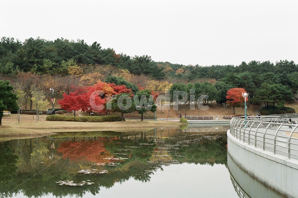 필름,필카,필름카메라,풍경,가을,필름사진,film,filmcamera,autumn,fall,울산대공원,landscape,가을,계절,fall,autumn,season,자연,풍경,nature,landscape,water,물,outdoors,옥외