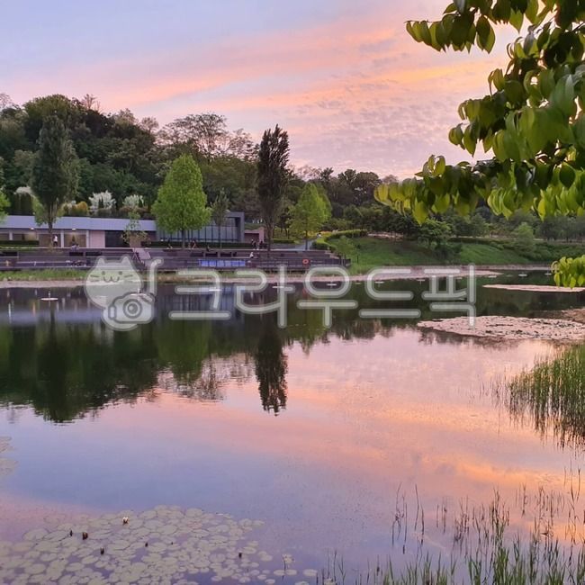 노을,하늘,해질녁,오월의하늘,water,nature,자연,outdoors,나무,호수,물의반영,낙조