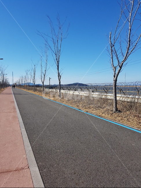 길,하늘,가로수,도로,철조망,파란하늘과도로,산책,자연,풍경,nature,landscape,한국자연풍경,한국자연경관,korea nature landscape,road,asphalt,아스팔트
