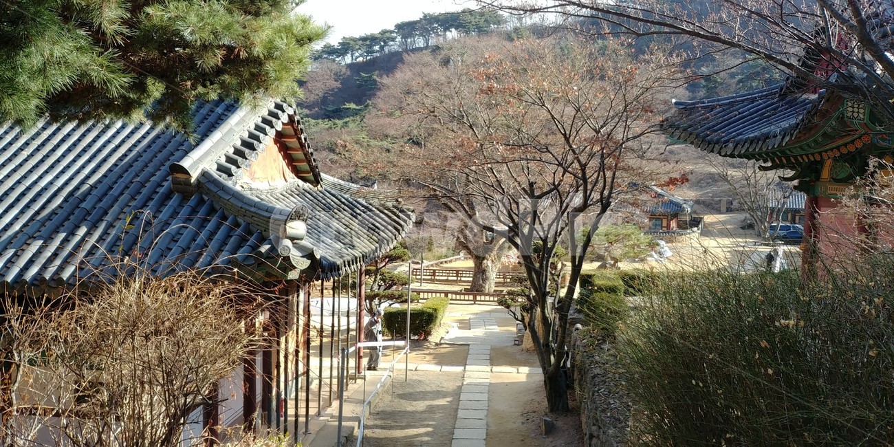 강화도절,절풍경,문화유산,강화도,전통,종교,유산,한국