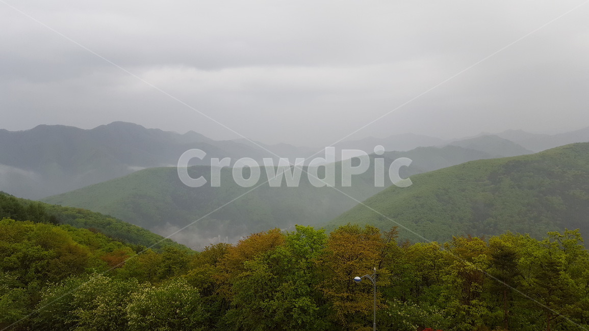 안개,산,아침안개,강원도,경치