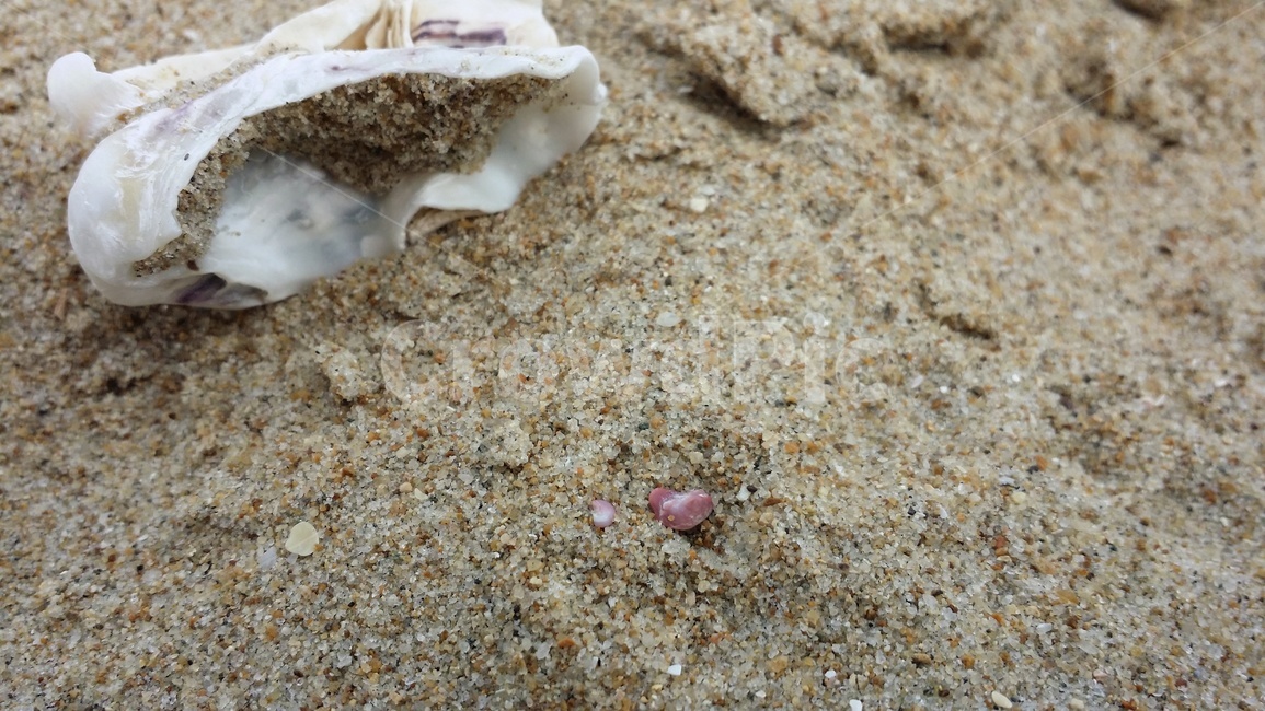 바닷가모래,모래,해변,해변모래,하트모양돌