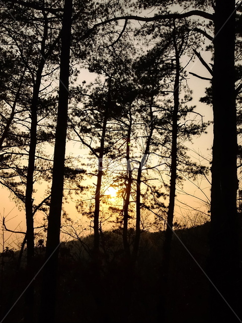 일몰,햇빛,석양,자연,옥외,빛,outdoors,nature,light,sunlight,붉은하늘,황혼,sunset