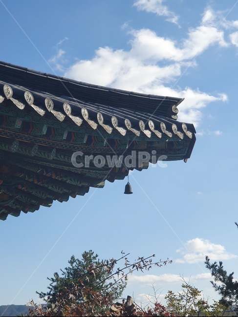 건물,building,절,종소리,푸른하늘,평화