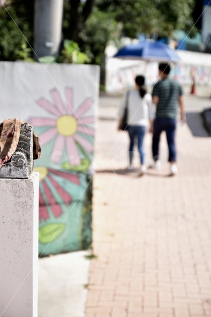 lover,back,picnic,alley,wall