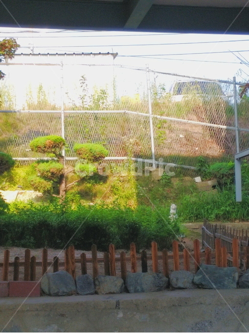 고양이,자연,감성,울타리,하늘,자연,풍경,nature,landscape,outdoors,옥외,garden,정원,arbour,정자