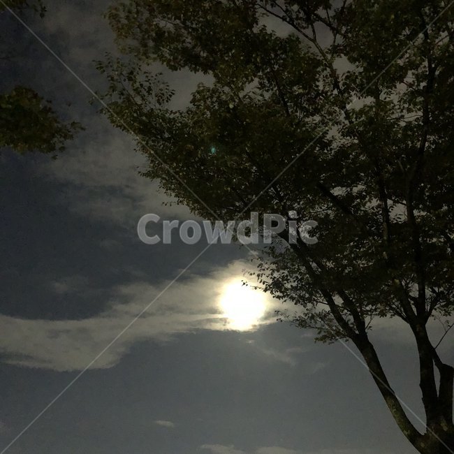 자연,달,nature,밤하늘,보름달,밝은밤하늘
