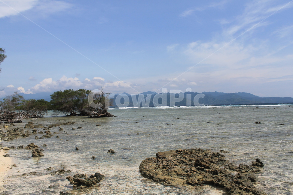 인도네시아,길리,해변,나무,나무해변,indonesia,gili,beach,beachandtree,vacation,nature,sea,고즈넉