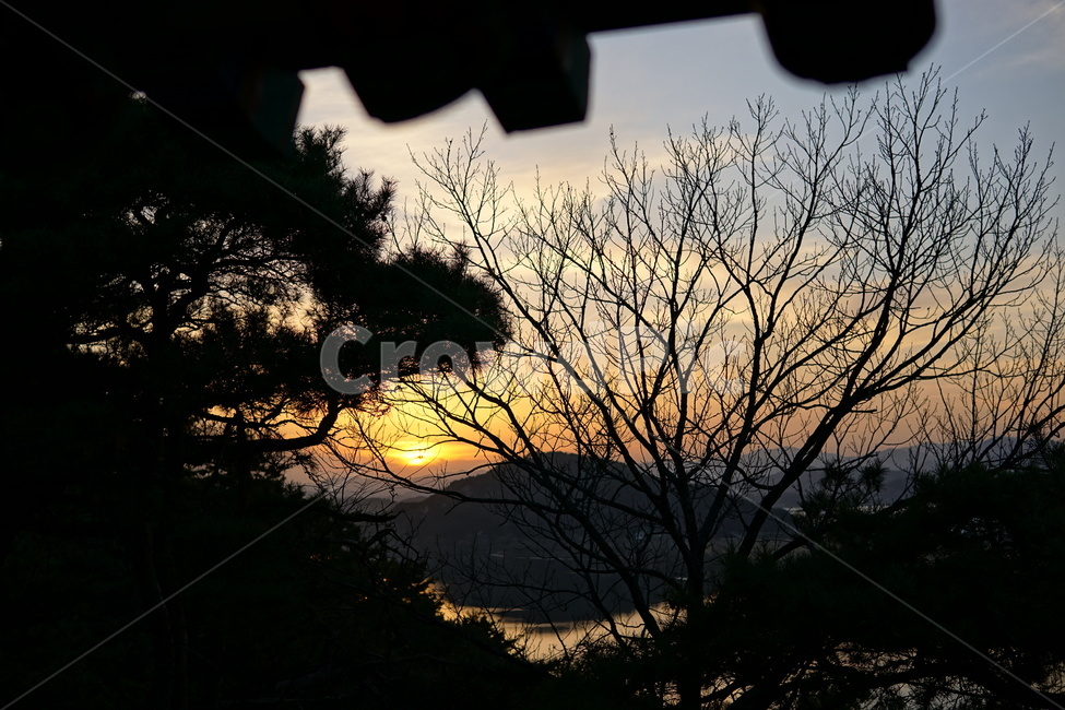 처마,기와,해질녘,노을,부여,나뭇가지,부소산성,하늘,저녁노을