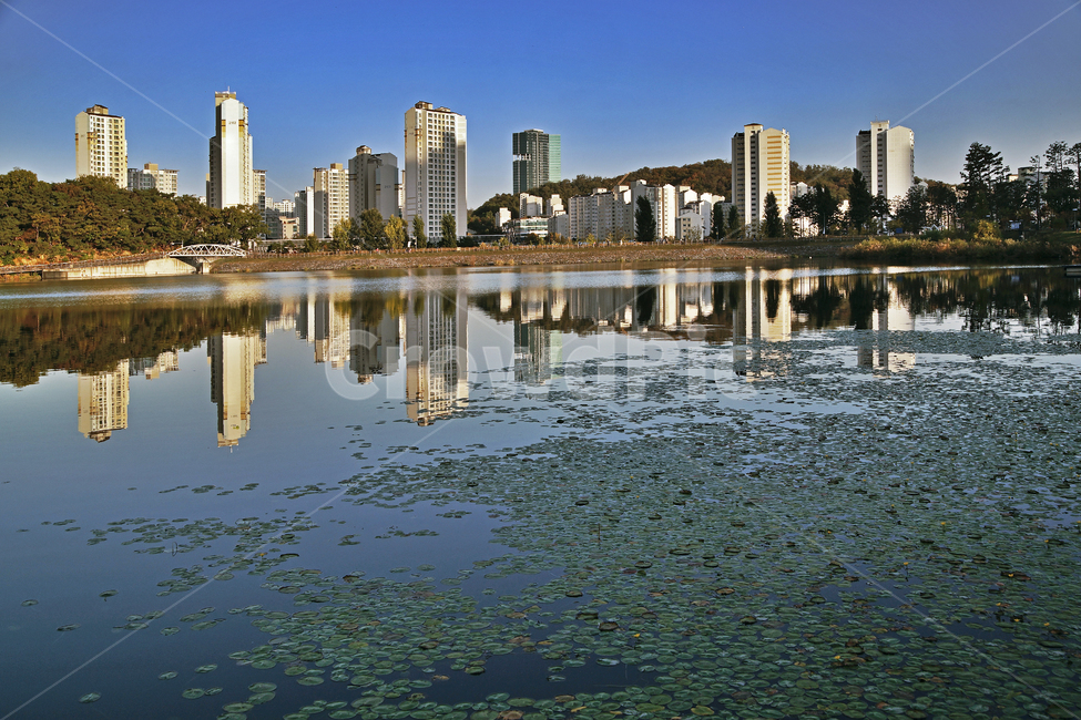 광교호수공원,영통,수원시,아파트,원천저수지,수초,반영,가을,도시,풍경,city,landscape,한국도시풍경,한국도시경관,korea cityscape